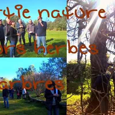 sortie nature fleurs herbes sauvages